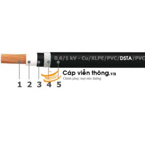 2019 0 Day Cap Dien Goldcup Cap Ngam Cevv St 1x400