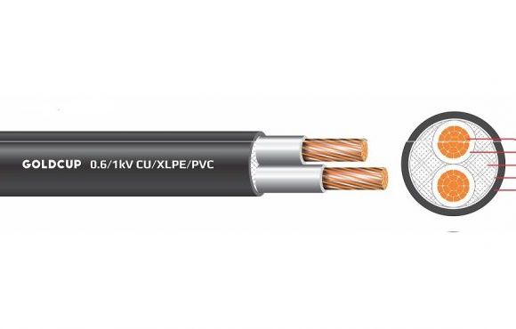 Cáp điện 2 lõi cách điện PVC 0.6/1kV Goldcup GC CEV 2x1.5R2-0.6-X ...
