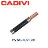 Cadivi Cv 50