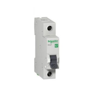 Aptomat Schneider Ez9f34120