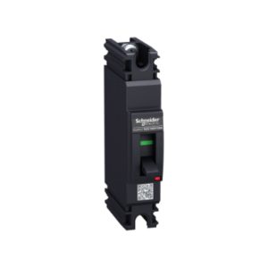 Aptomat Schneider Ezc100n1060