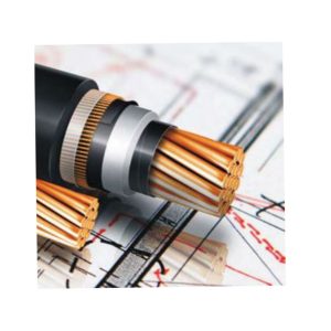 Cáp Ls Vina Cu Xlpe Pvc Data Pvc – Data 1×95
