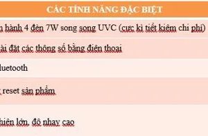 Điện Quang Apollo 3