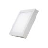 Đèn Led Panel ốp trần nổi vuông 24W vàng Nanoco NPL243S
