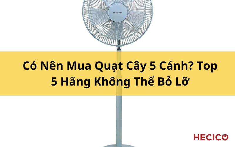 Có Nên Mua Quạt Cây 5 Cánh? Top 5 Hãng Không Thể Bỏ Lỡ